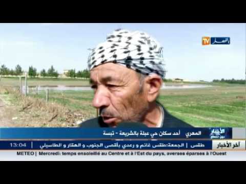 شاهد الجزائر في الأخبار المحلية