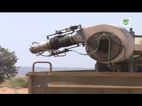 بالفيديو مواصلة الجهود الرسمية لمكافحة الجراد وحماية المزروعات