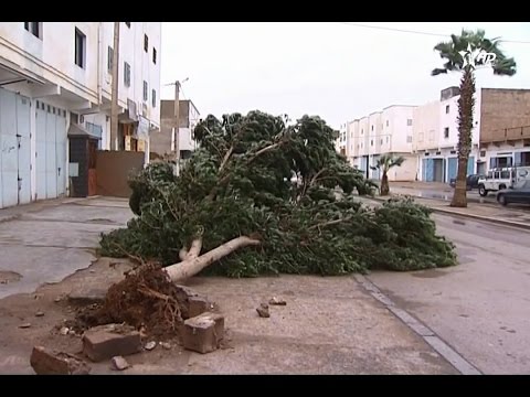 شاهد رياح وأمطار قوية غير مسبوقة تخلف أضرار مادية في طنطان