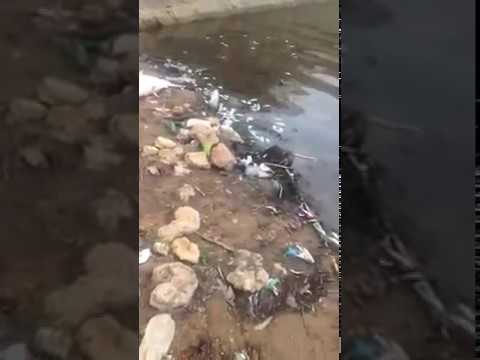 كارثة بيئية تعيشها بحيرة ضاية الرومي