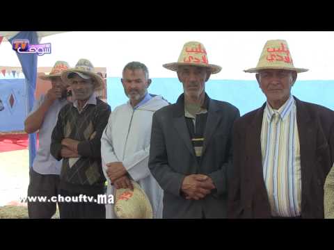 شاهد إطلاق مبادرة حليب بلادي لمساعدة صغار المنتجين في المغرب