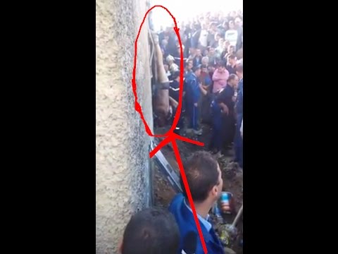 بالفيديو  تعذيب لص جزائري بتجريده من ملابسه وتعليقه على جدار