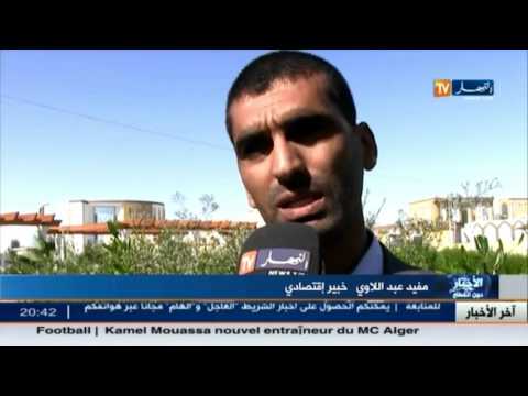 جدار أمني عازل لتحصين الحدود الشرقية ومواجهة الجريمة المنظمة