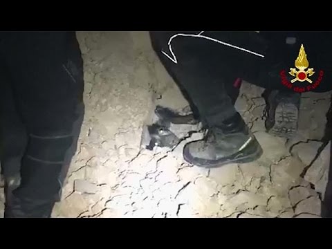 شاهد انتشال كلب من تحت الأنقاض