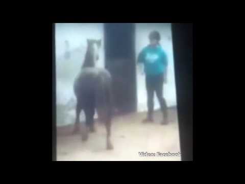 بالفيديو فتاة تعاقب حصانًا أسقطها على الأرض بالجلد