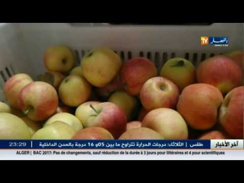 بالفيدديو الاستثمار الفلاحي يتوج ببداية التصدير إلى الخارج