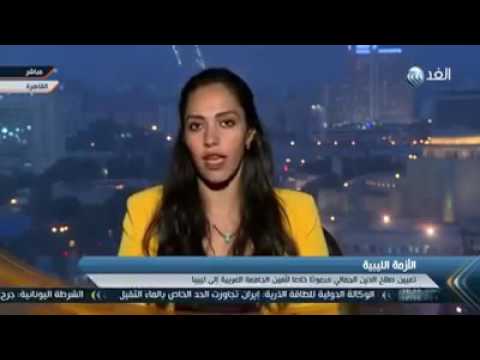 اختيار صلاح الدين الجمالي مبعوثًا خاصًا لأمين الجامعة العربية