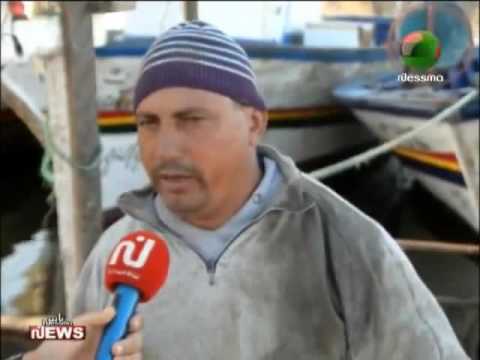 سلطعون البحر يتسبب في خسائر مادية فادحة لـ4000 بحار