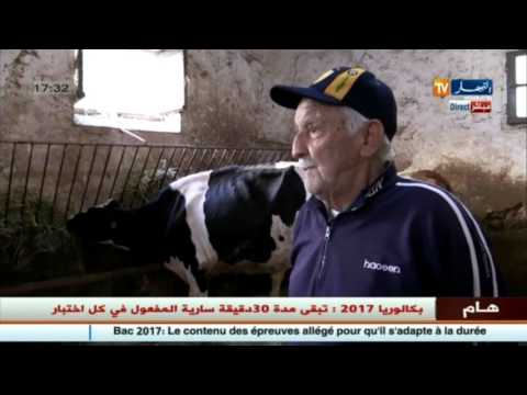 شاهد كيف يقتني كبار المسؤولين الحليب