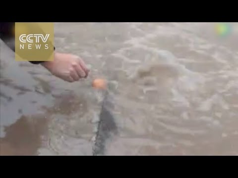 رجل يسلق بيضة بوضعها في أحد شوارع الصين