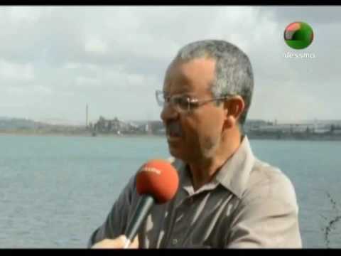 شاهد حملة بعنوان أوقفوا الفحم