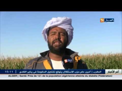 شاهد آخر الأخبار المحلية الجزائرية