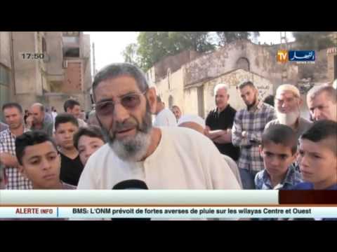 بالفيديو  الجزائر العميقة في الموجز المحلي