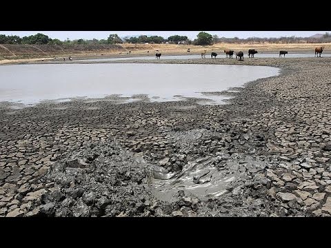 ضحايا ارتفاع درجات الحرارة أكثر من ضحايا الحروب