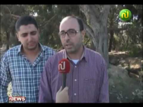 شاهد طرق بيولوجية لمكافحة البعوض في المستنقعات المائية