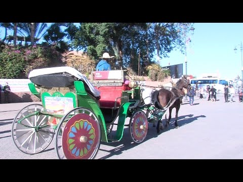 شاهد وسيلة نقل وترفيه تجمع بين متعة اكتشاف المدينة وحماية بيئتها