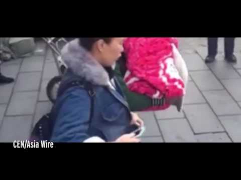 شاهد لحظة العثور على رضيعة في سلة قمامة