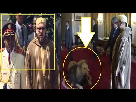 شاهد طقوس إثيوبية غريبة وأسـد في استقبال الملك محمد السادس
