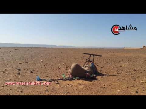 شاهد جولة في إقليم زاكورة في المغرب