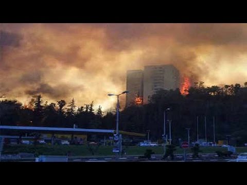 شاهد اشتعال النيران في غابات الاحتلال الإسرائيلي