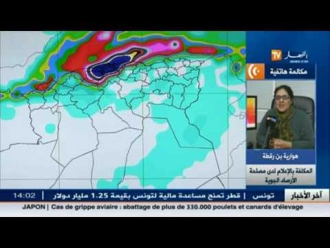 شاهدهوارية بن رقطة يؤكد استقرار وتحسن أحوال الطقس تدريجيًا