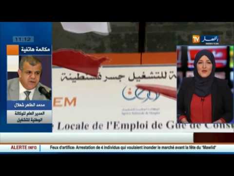 شاهد طالبي العمل سيتم توجيههم إلى القطاع الإقتصادي مستقبلاً