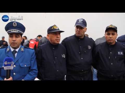 شاهد حجز 7 مركبات وتوقيف11 شخصًا
