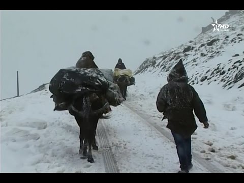شاهد توزيع مساعدات إنسانية في إقليم أزيلال