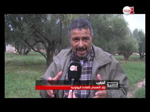 شاهد  الفلاحة البيولوجية محط اهتمام الفلاحين والمهنِيين