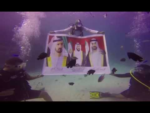 بالفيديو  سعوديون يحتفلون باليوم الوطني للإمارات في أعماق البحر