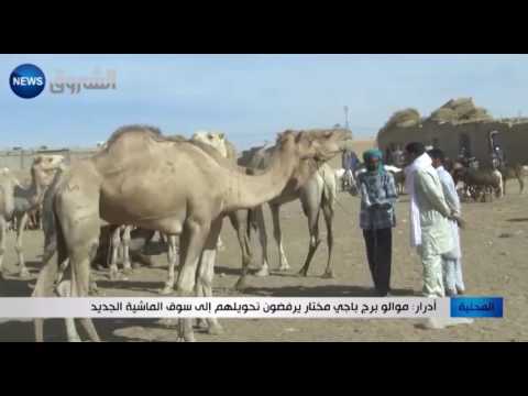 موالو برج باجي مختار يرفضون تحويلهم إلى سوق الماشية الجديد