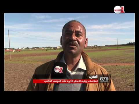 بشائر الأمل والتفاؤل لدى الفلاحين بعد التساقطات المطرية الأخيرة