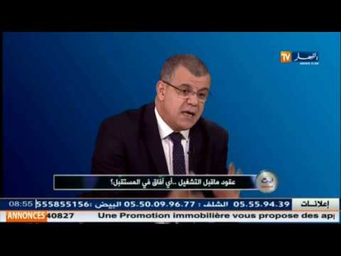 بالفيديو الآفاق المستقبلية لعقود ما قبل التشغيل في الجزائر