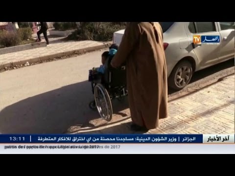 بالفيديو ديوان الأعضاء الاصطناعية في البيض يعاني من المشكلات