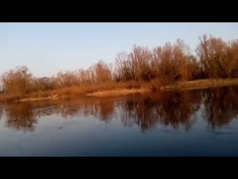 شاهد صياد ينقذ غزالًا علق داخل بحيرة متجمدة