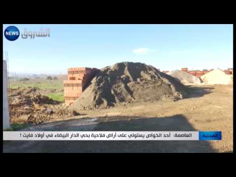شاهد واحد من ذوي النفوذ يستولي على أرض فلاحية