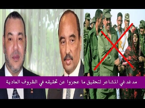 شاهد موريتانيا تبدي سعادتها بخطاب الخارجية المغربية