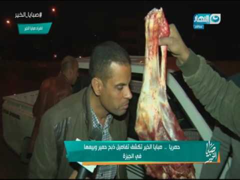 تفاصيل بيع 600 كيلوغرام من لحم الحمير في الجيزة