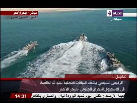 شاهد السيسي يشهد تنفيذ بيان عملي لعملية اقتحام جزيرة منعزلة مستولى عليها