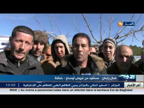 مستفيدوا أونساغ يطالبون بتوفير مناصب العمل