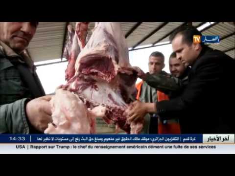 شاهد الوزيعة لم للشمل وإحياء لعادة يناير