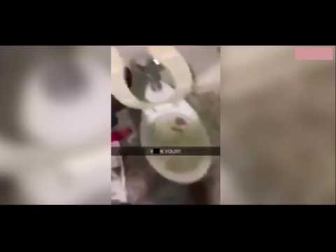 رجل ينتقم من صديقته السابقة برمي حيوانها في الحمام