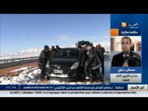 شاهد استمرار تساقط الثلوج في النعامة