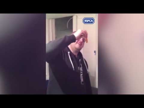 شاهد مواطن بريطاني على أعتاب السجن عقابا لابتلاعه سمكة زينة حيّة