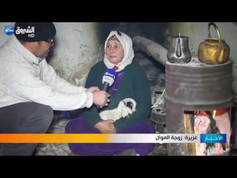 نفوق 40 رأسًا من الأغنام بسبب العاصفة الثلجية في الأغواط