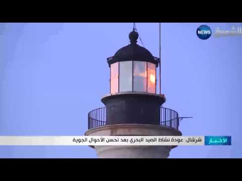 بالفيديو شرشال يؤكّد عودة نشاط الصيد البحري بعد تحسّن الأحوال الجوية
