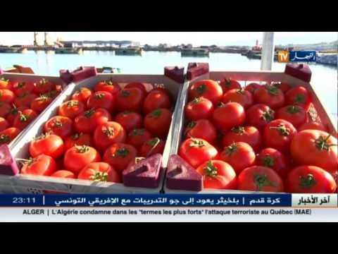 انطلاق باخرة جديدة لتصدير الخضراوات والفواكه