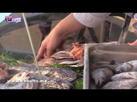 شاهد  مصري يصطدم بالمغاربة في مدينة فاس