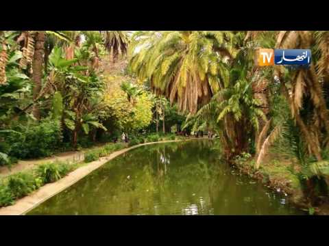 شاهد مقطع لحديقة الحامة في الجزائر