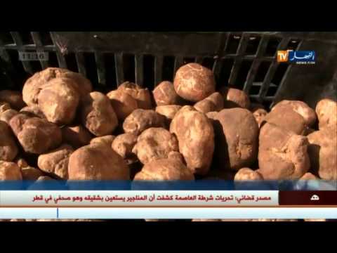 شاهد تهريب العملة الصعبة تحت غطاء تصدير الترفاس